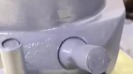 경량 수영장 펌프 태양 범용 교체 DC 펌프