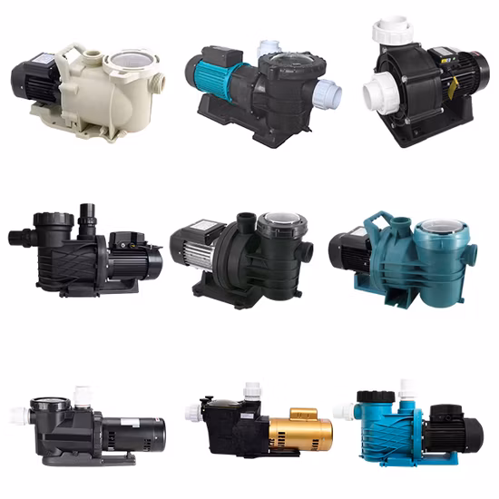 전문 비즈니스 수영장 제품 전체 세트 장비 액세서리